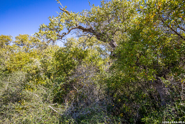 Image 25 of 36 For Blk A Tr 13  