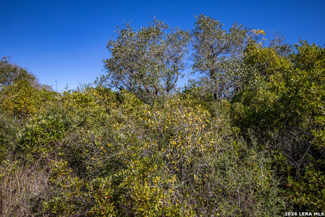 Image 26 of 36 For Blk A Tr 13  