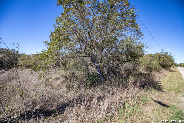 Image 28 of 36 For Blk A Tr 13  