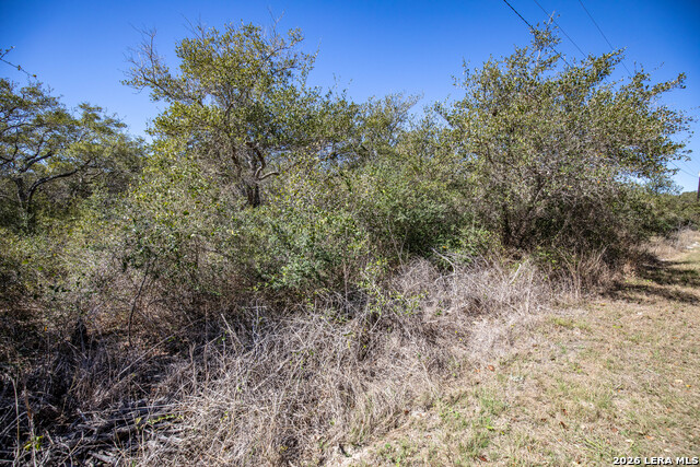 Image 29 of 36 For Blk A Tr 13  