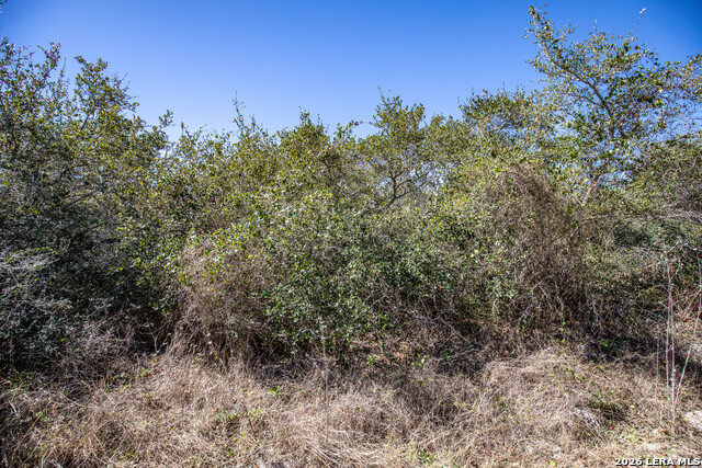 Image 30 of 36 For Blk A Tr 13  