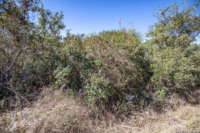 Image 31 of 36 For Blk A Tr 13  