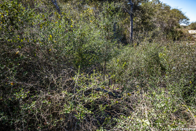 Image 33 of 36 For Blk A Tr 13  