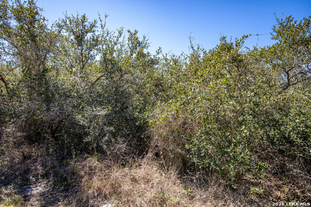 Image 35 of 36 For Blk A Tr 13  