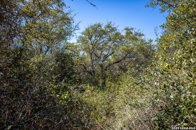 Image 36 of 36 For Blk A Tr 13  