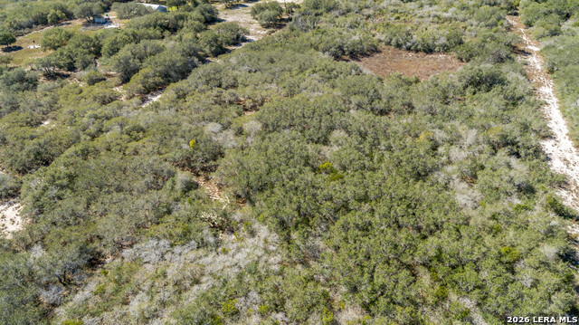 Image 8 of 36 For Blk A Tr 13  