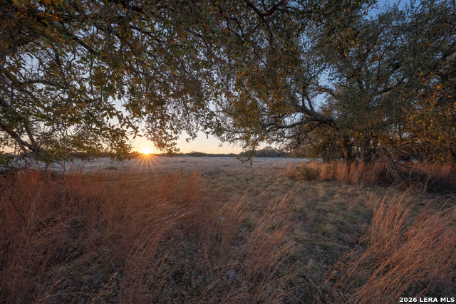 Image 11 of 43 For Tbd Treadwell Ln