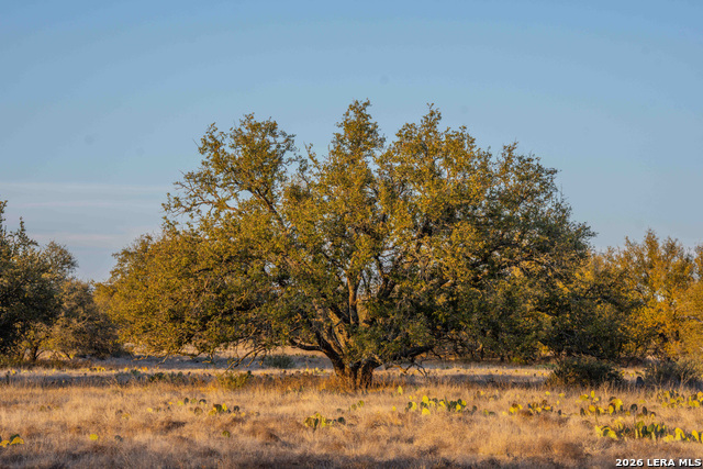 Image 16 of 43 For Tbd Treadwell Ln