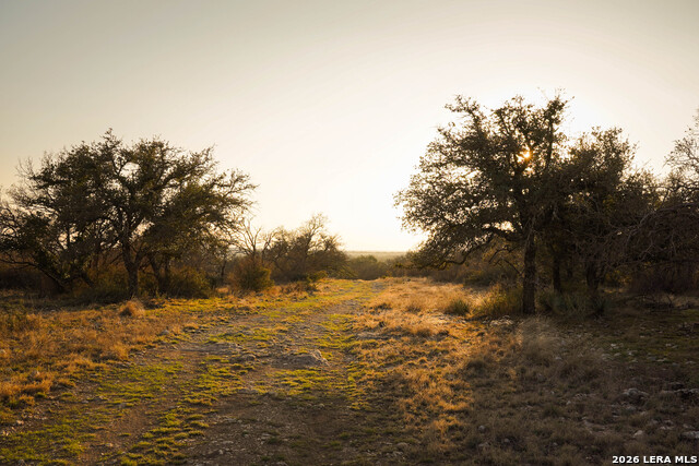 Image 21 of 43 For Tbd Treadwell Ln