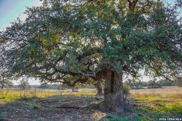 Image 23 of 43 For Tbd Treadwell Ln