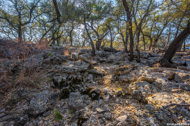 Image 24 of 43 For Tbd Treadwell Ln