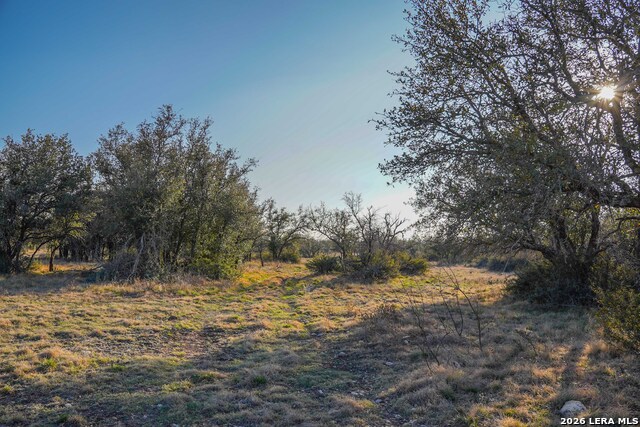 Image 31 of 43 For Tbd Treadwell Ln