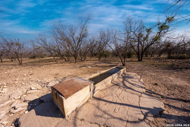 Image 32 of 43 For Tbd Treadwell Ln