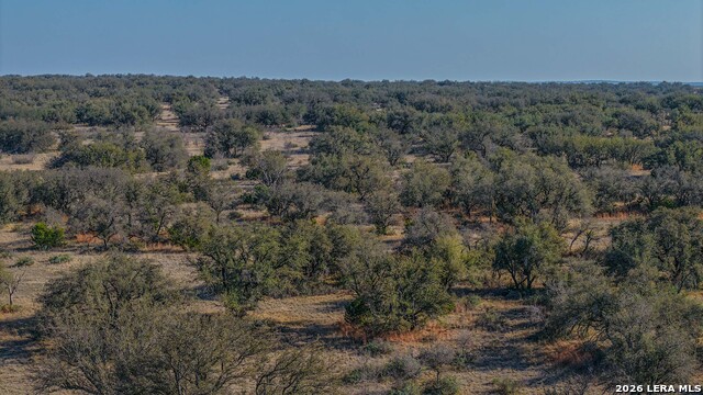 Image 34 of 43 For Tbd Treadwell Ln