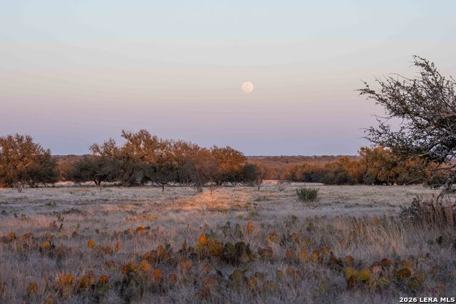 Image 4 of 43 For Tbd Treadwell Ln