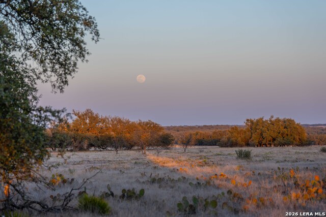 Image 40 of 43 For Tbd Treadwell Ln