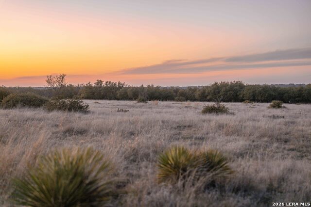 Image 7 of 43 For Tbd Treadwell Ln