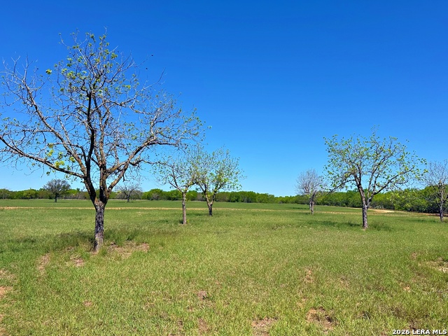 Listing photo id 0 for 3265 Highway 97