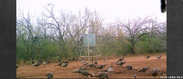 Listing photo id 19 for 3265 Highway 97