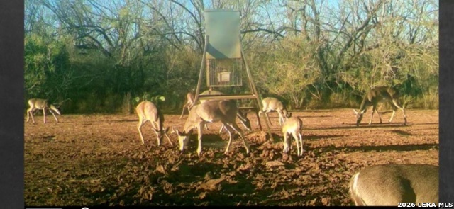 Listing photo id 20 for 3265 Highway 97