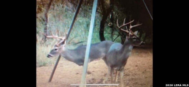 Listing photo id 21 for 3265 Highway 97