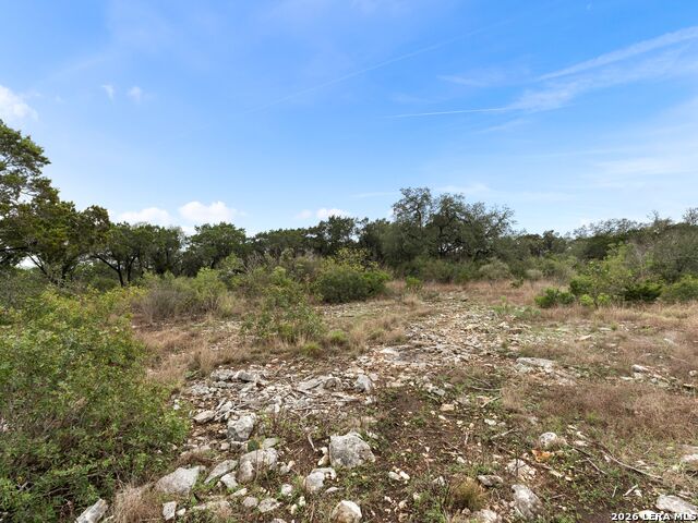 Details for Lot 14 Pr 2777, Mico, TX 78056