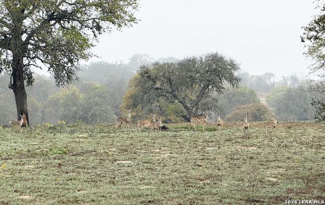 Details for 534 Whitetail Dr, Adkins, TX 78101