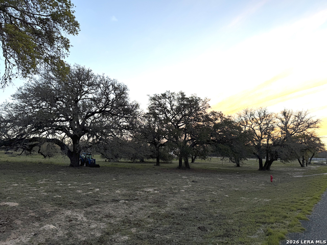 Image 10 of 13 For 534 Whitetail Dr