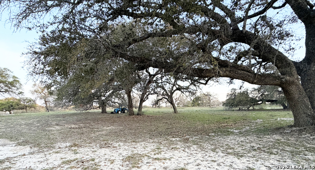 Image 4 of 13 For 534 Whitetail Dr