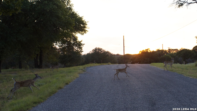 Image 5 of 13 For 534 Whitetail Dr