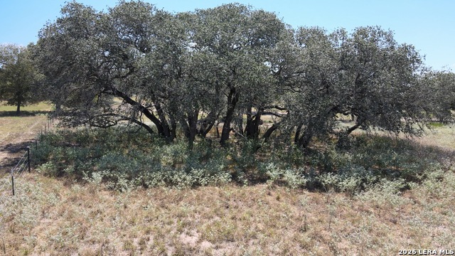 Image 8 of 13 For 534 Whitetail Dr