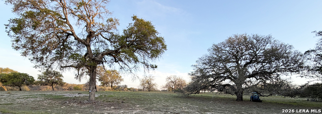 Image 9 of 13 For 534 Whitetail Dr