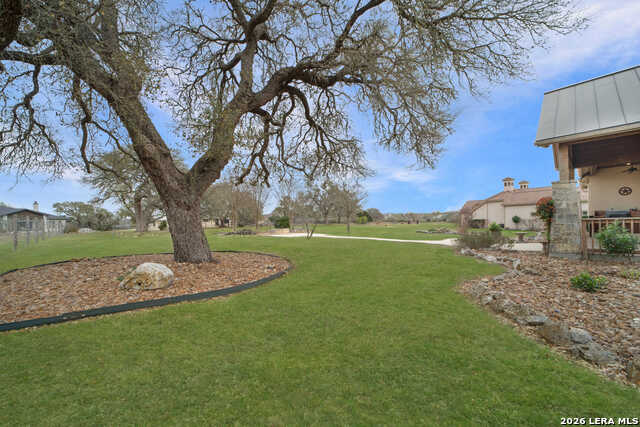 Image 38 of 50 For 1174 Sapling