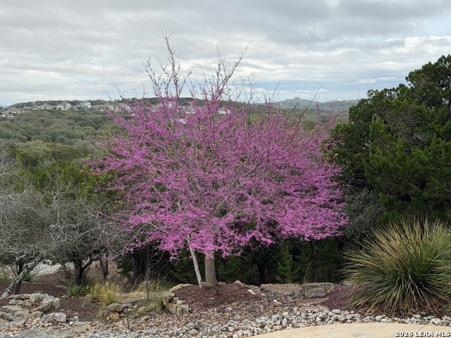 Image 34 of 45 For 25011 Caliza