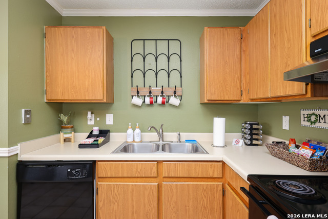 Image 3 of 11 For 13014 Ocean Glade