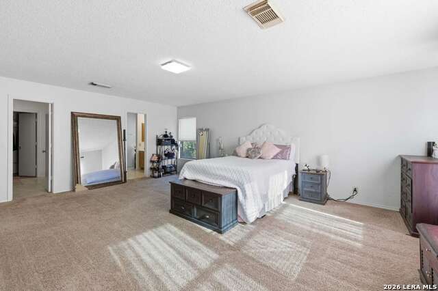 Image 20 of 24 For 10818 Winter