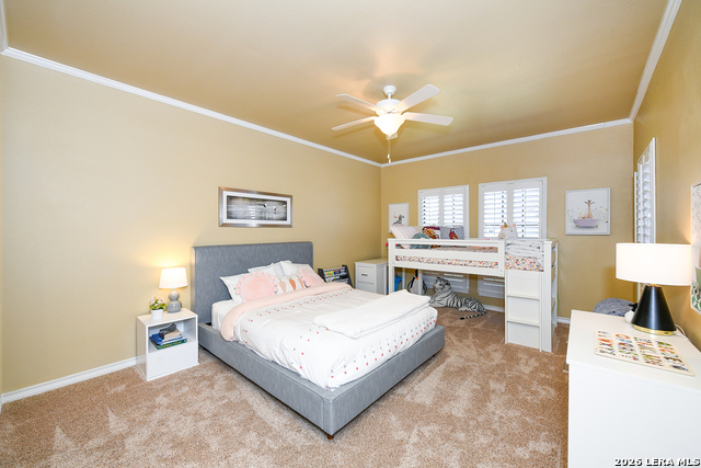 Image 19 of 34 For 714 Sweetbrush