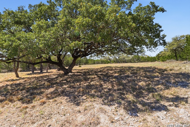 Image 5 of 26 For 748 Bear Springs Trails