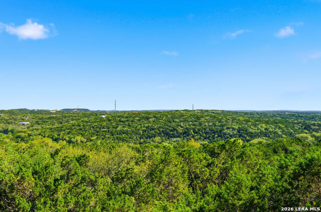 Image 10 of 64 For 3923 Forsythia