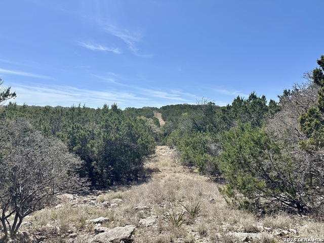 Image 10 of 18 For 107 Camp Alzafar