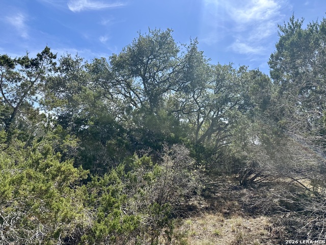 Image 15 of 18 For 107 Camp Alzafar