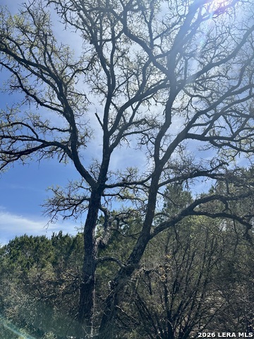 Image 8 of 18 For 107 Camp Alzafar