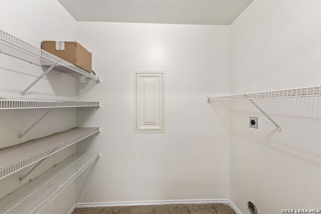 Image 17 of 32 For 4039 Angel Trumpet