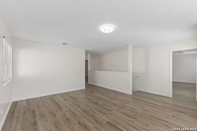 Image 21 of 32 For 4039 Angel Trumpet