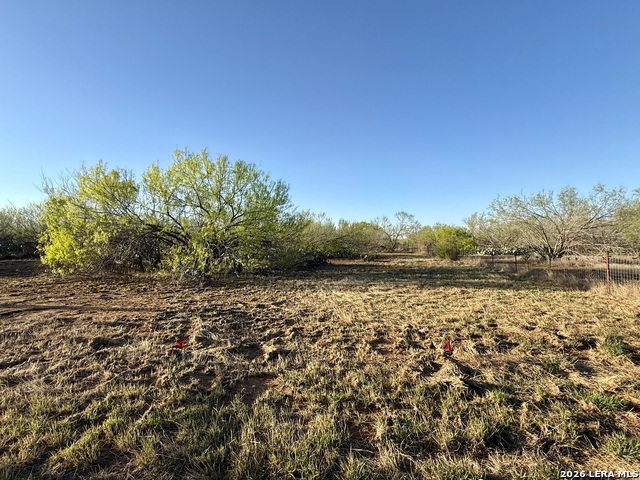 Image 5 of 10 For 2175 County Road 332