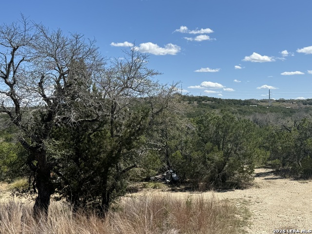 Details for 100 Manana  , Blanco, TX 78606