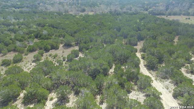 Image 11 of 12 For 100 Manana  