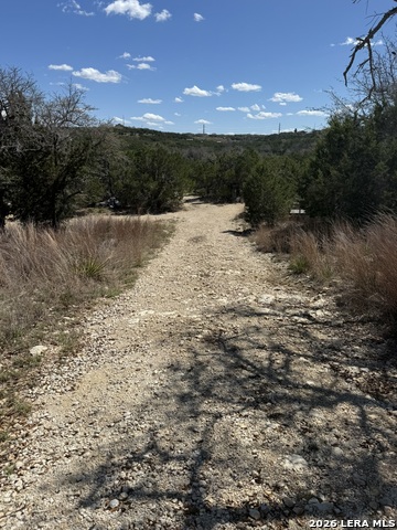 Image 3 of 12 For 100 Manana  