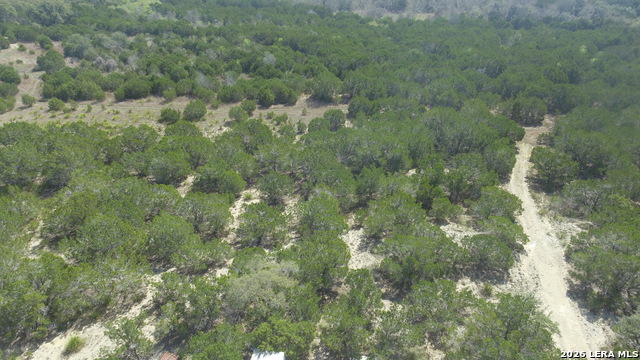 Image 9 of 12 For 100 Manana  