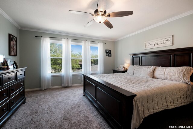 Image 16 of 28 For 25167 Flying Arrow